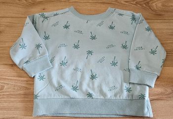 Lot de 2 pulls garçon- Taille 2-3 ans