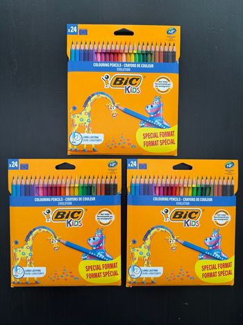 Lot de 3 packs crayons de couleurs (24 crayons)