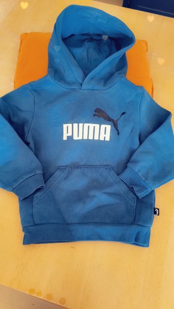 Pull puma
