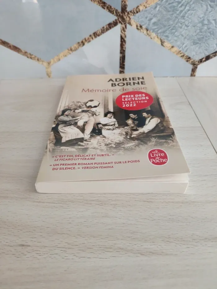 Livre poche mémoire de soie Borne - photo numéro 2