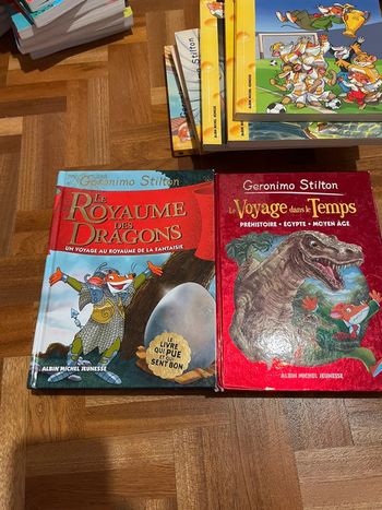 Geronimo stilton le royaume des dragons