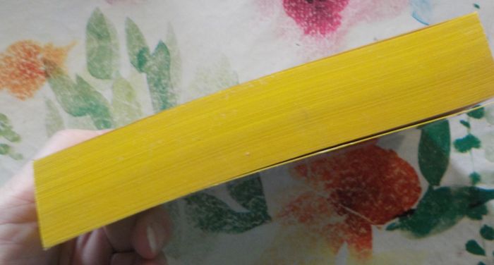 LES CONJURES DE LA PIERRE de David MORRELL Ed. Le Livre de Poche - photo numéro 5