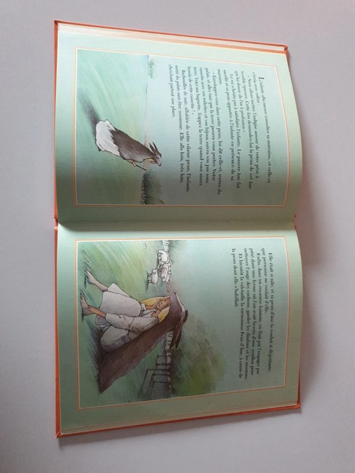 Livre peau d'âne par Adeline - photo numéro 4