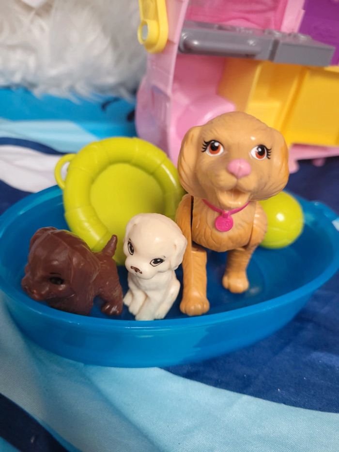 Chien barbie - photo numéro 2