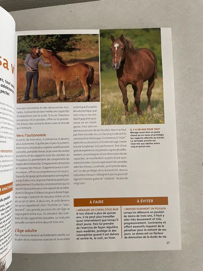 J'aime mon cheval - photo numéro 5