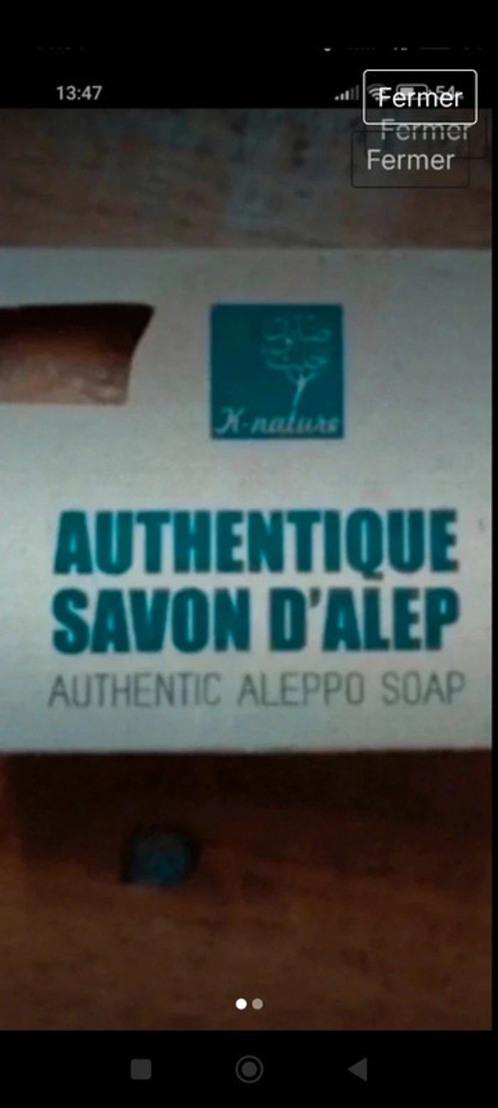 Savon dalep