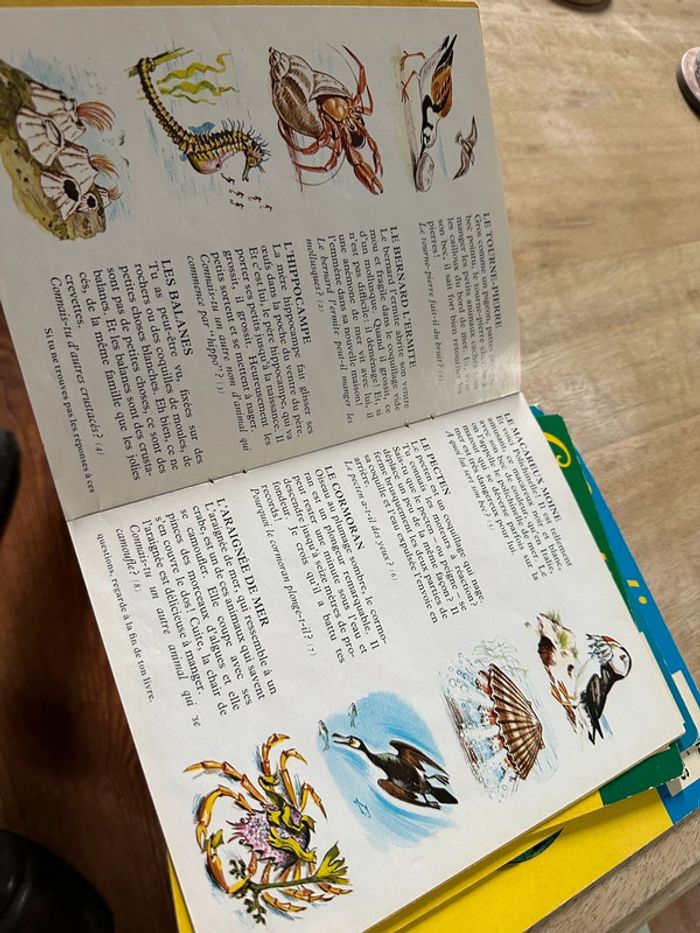 Lot de 4 livres albums autocollants rares Caroline Pierre Probst vintage anciens - photo numéro 16