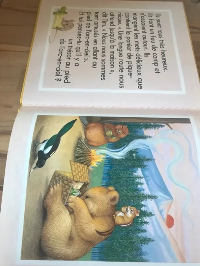 livre  le trésor de l’ours tim - photo numéro 4