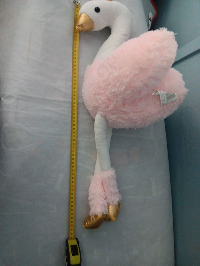 Cygne - photo numéro 3