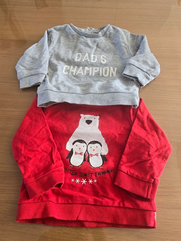 Lot 2 sweat 12 mois