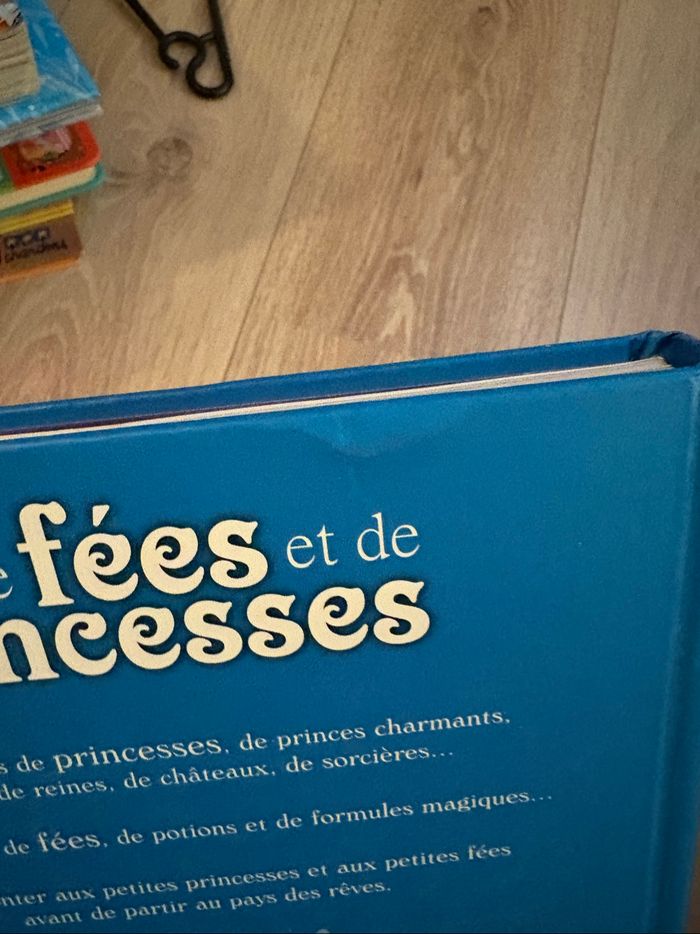 Rêves de fées et de princesses - photo numéro 5