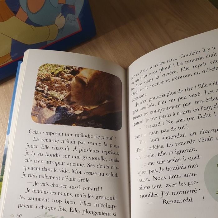 Le Renard et l'Enfant - photo numéro 3