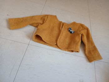 Veste