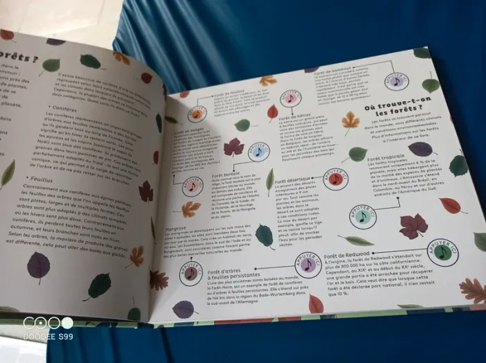 Livre enfant - photo numéro 4