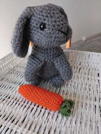 Lapin 🐰