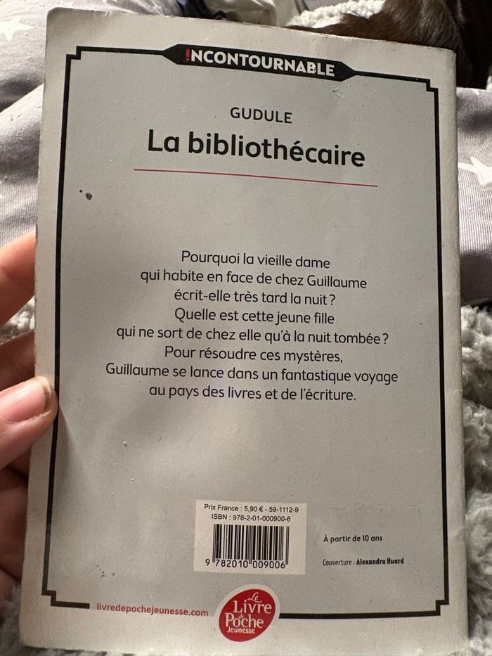 Livre la bibliothécaire - photo numéro 4