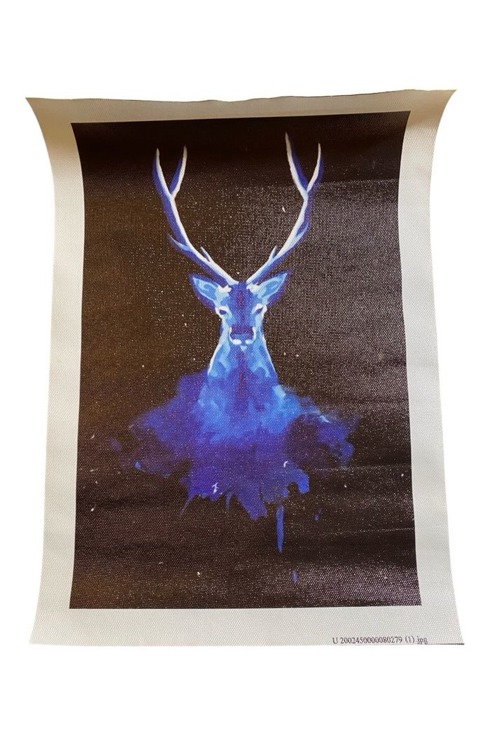 NEUF Poster Harry Potter