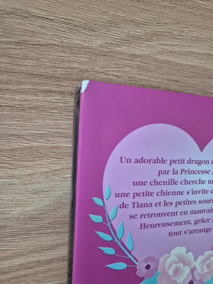 Livre princesses - photo numéro 3