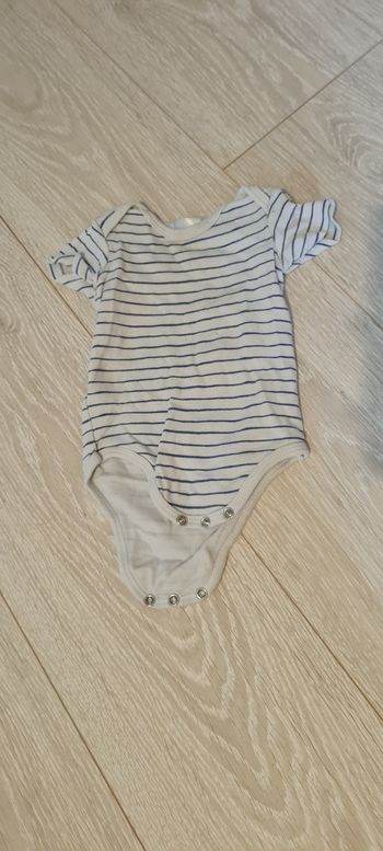 Body
