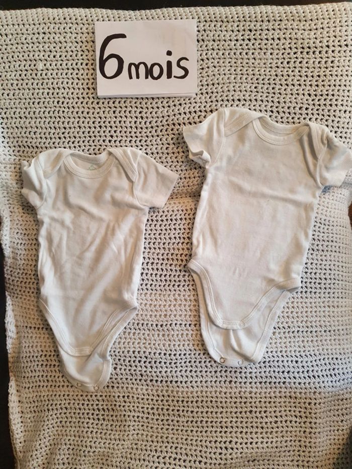 Lot 2 bodys bébé 6 mois pat et ripaton - photo numéro 3