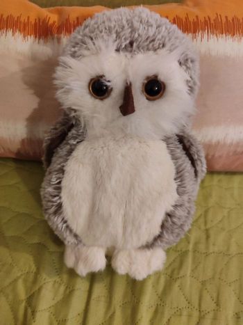 peluche chouette bukowski