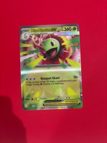 Carte jumbo mega meganium 034