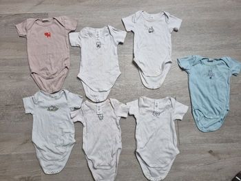 Lot de 7 bodies manches courtes - 6 mois 