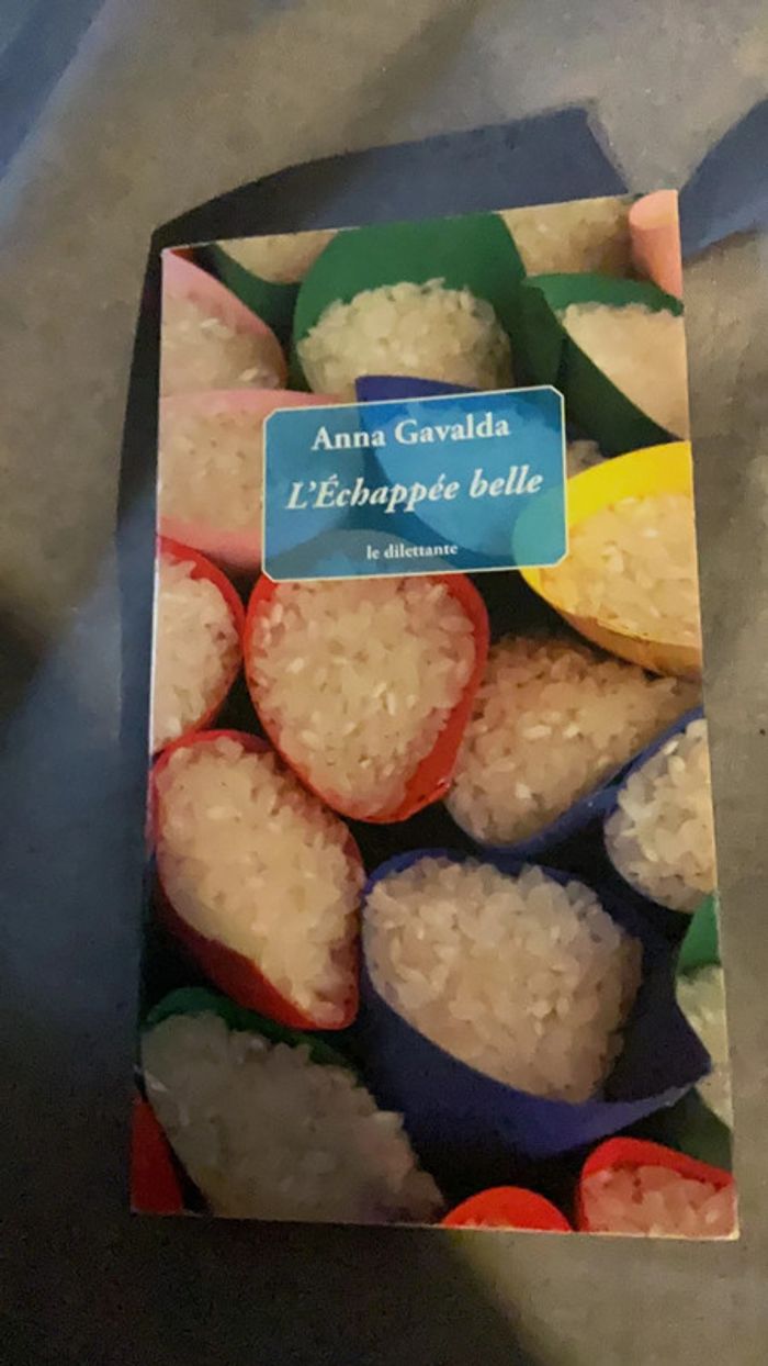#l’échappée belle Anne Gavalda