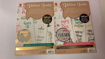 Scrapbooking feuilles Textes velin