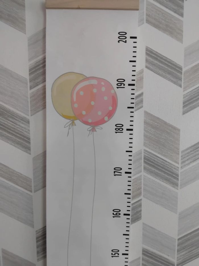 règle mesureur - photo numéro 2