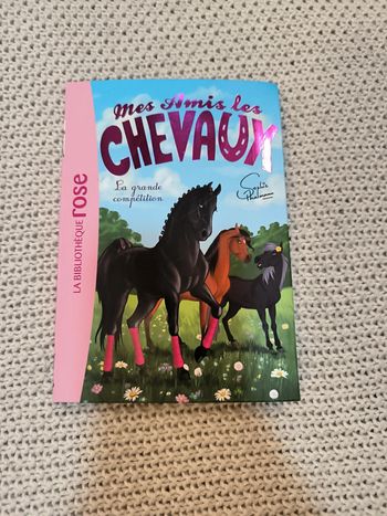 Mes amis les chevaux tome 2
