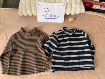 Lot de 2 tee-shirts manches longues taille 2 ans