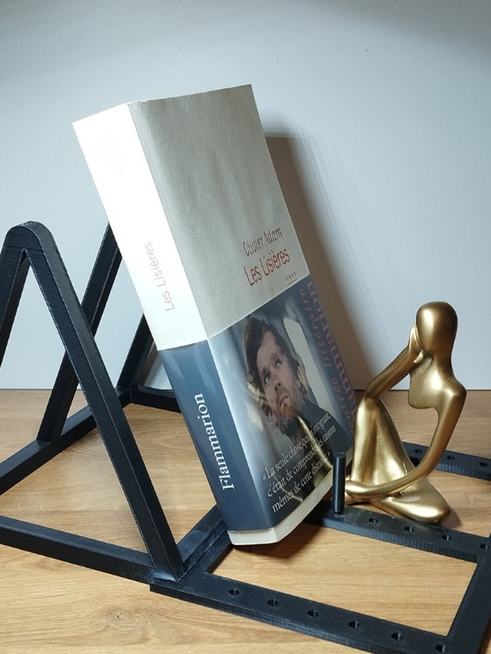 Roman Les Lisières de Olivier Adam - photo numéro 2