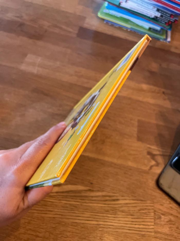 Livre Masha et Michka Masha Bienvenue Petit Panda ! - photo numéro 6