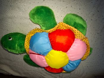 Peluche tortue 🐢
