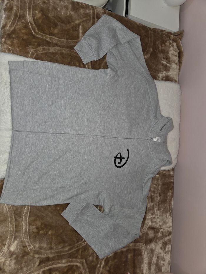 Sweat zip à capuche logo ©️ Disneyland Paris taille L +1 goodies Disney 🎁 offert - photo numéro 3
