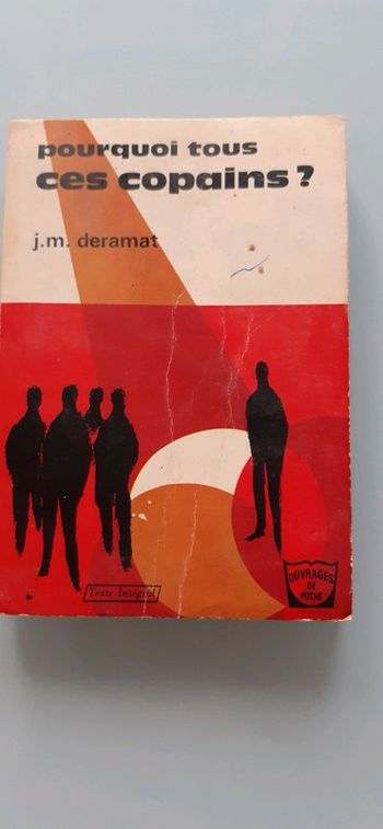 Pourquoi tous ces copains ?