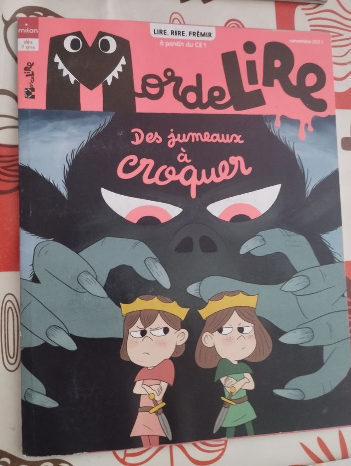 Lot Livres Mordelire mai à novembre 2021 - photo numéro 7