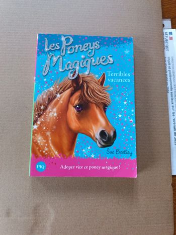 Les poneys magiques Terribles vacances