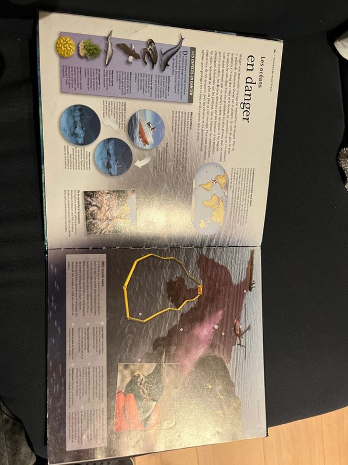 Livre pour enfants les océans à la loupe - photo numéro 3