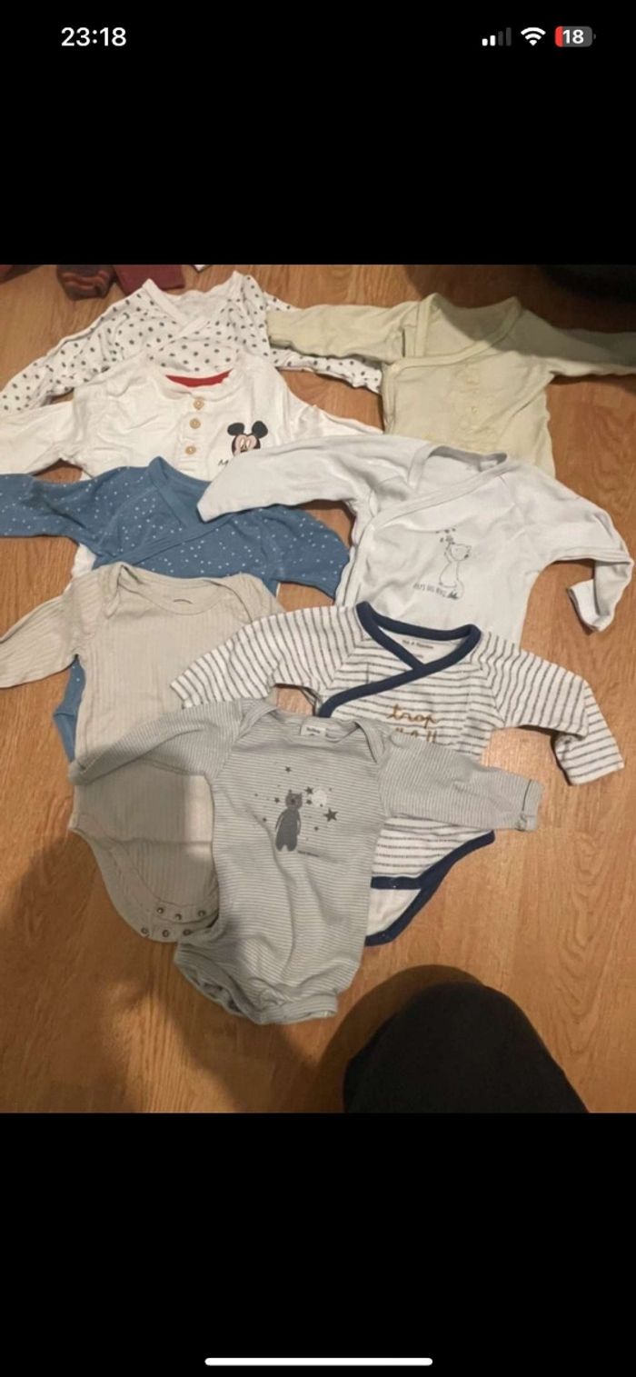 Lots bodies