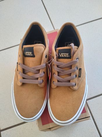 Basket Vans