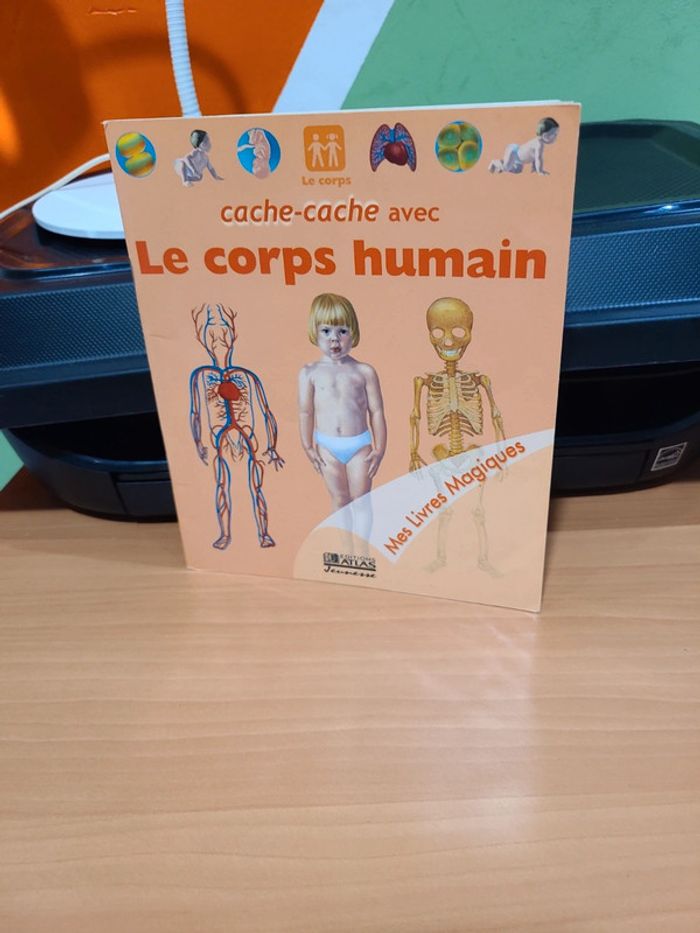 Cache cache avec corps humain