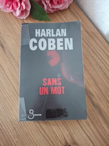 Livre : Sans mot