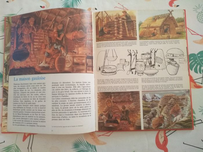 Livre Au Temps des Gaulois - photo numéro 5