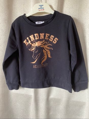 Pull sweat marine et cheval rosé 6 ans Gémo