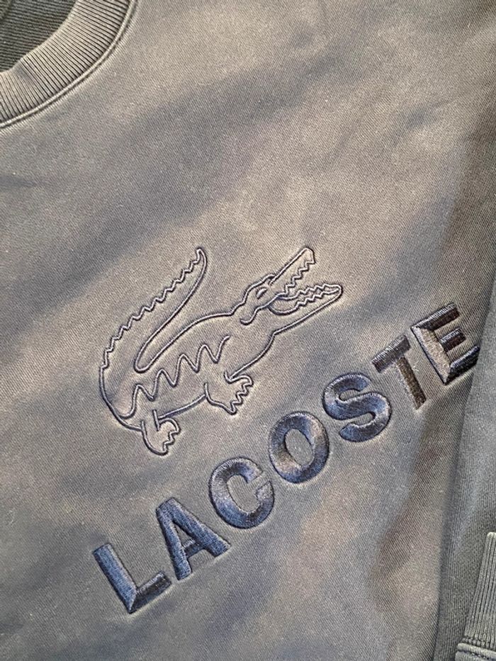 Pull ras de cou Lacoste / Bleu marine / Taille L - photo numéro 4