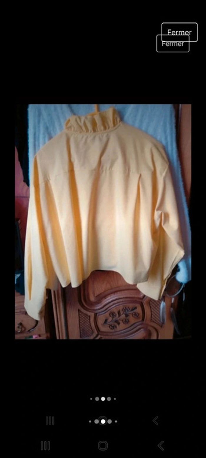 Chemisier chic - photo numéro 5