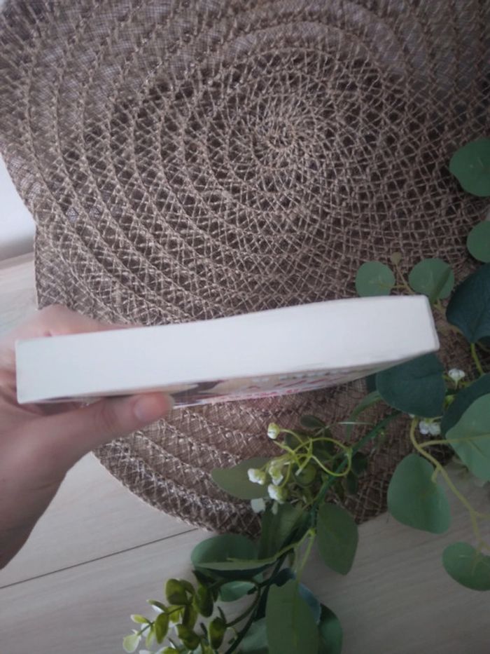 🌸Livre romance et comédie mon beau frère mon mec et moi 🌸 - photo numéro 4