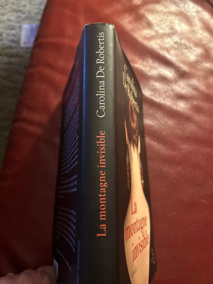 la montagne invisible - photo numéro 3